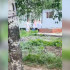 Выпускники устроили массовую драку в Воронеже