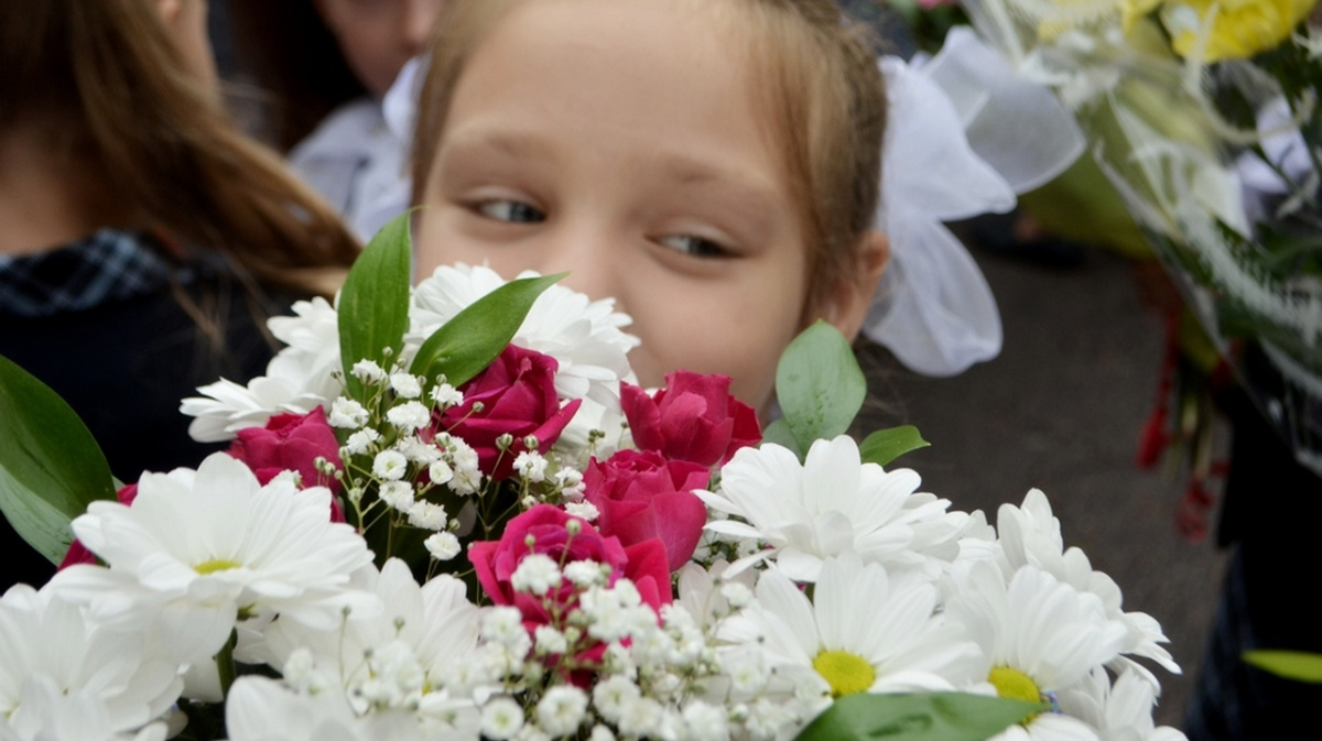 Фото 15 сентября. Зевающие дети с букетом на 1 сентября. Зачисли на первоклассников город Петрозаводск 26 школа. Воронеж. Школа перспектива.день матери. Сегодня..