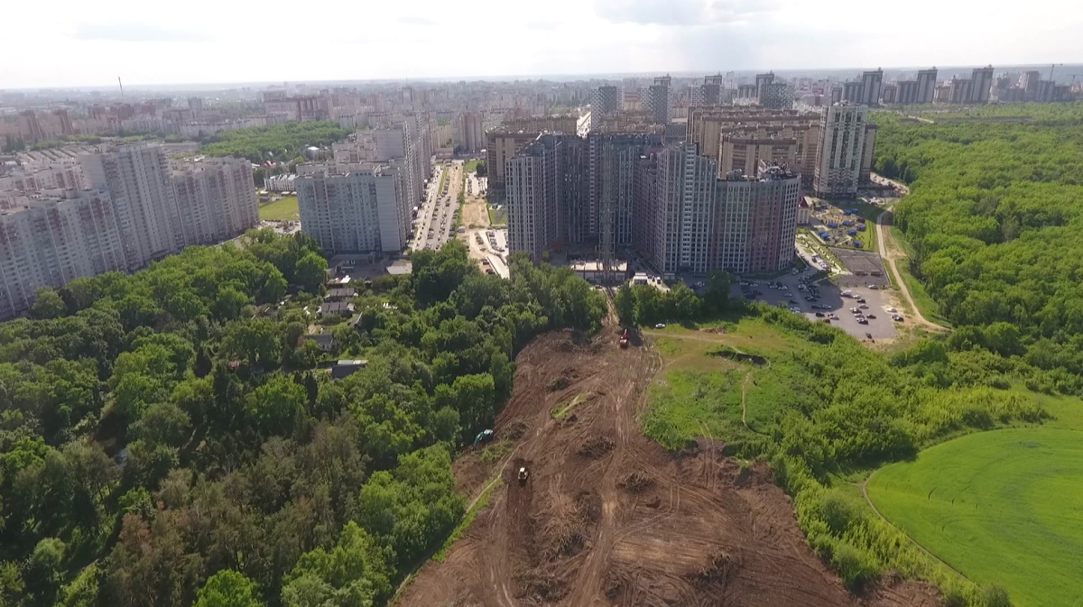 Воронежцы забили тревогу из-за вырубки деревьев в районе Ботанического сада  – Новости Воронежа и Воронежской области – Вести Воронеж