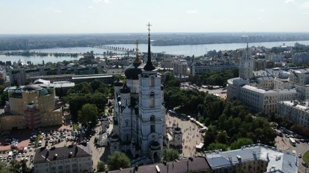 Общественники укоротили список кандидатов в «Почётные граждане Воронежа»