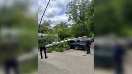 В Воронеже мусоровоз повалил столб на припаркованные машины