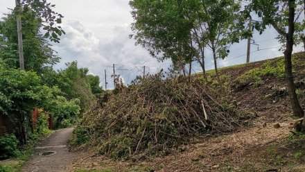 «Неосторожное движение – катишься вниз». Воронежцы сообщили об опасном тротуаре в центре