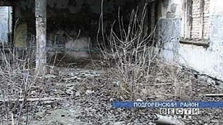 В Подгоренском Доме культуры растут тополя