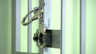 Закладчика из Ленинградской области задержали под Воронежем