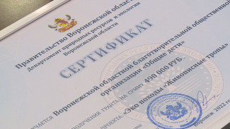 Воронежским экоактивистам вручили областные гранты 
