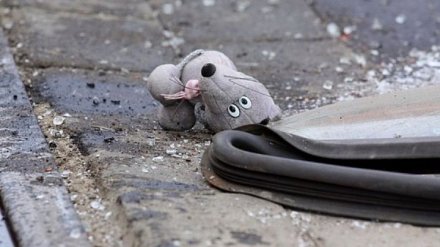 Под Воронежем при столкновении двух авто пострадала 2-летняя девочка