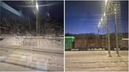 В Воронеже отменили концерт Татьяны Овсиенко из-за ЧП на ж/д путях