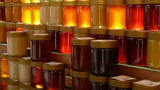 В Воронеж привезут мёд со всего Черноземья и Кубани