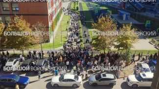 Воронежцы сообщили о жуткой давке в школе №106