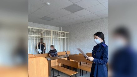 СК раскрыл подробности нападения с отвёрткой на женщину в Воронеже