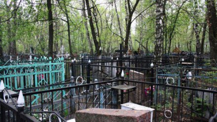 Воронежские подростки бросили на кладбище умирать 15-летнего друга