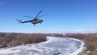 Стали известны подробности аварийной посадки военного вертолёта в Воронежской области