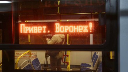 Вадим Кстенин: В 2022 году в Воронеже продолжат обновлять городской транспорт