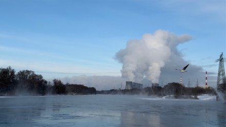Нововоронежские школьники-фотолюбители стали приёрами международного конкурса
