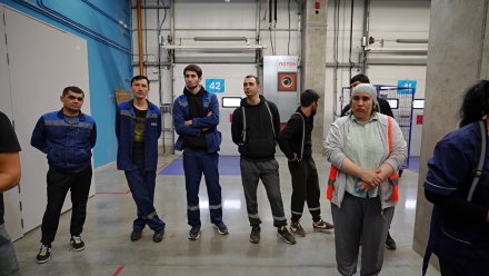 Более 370 нелегальных мигрантов задержали за неделю в Воронежской области