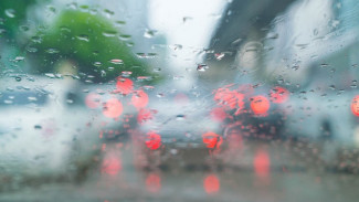 Новая неделя начнётся в Воронежской области с дождей