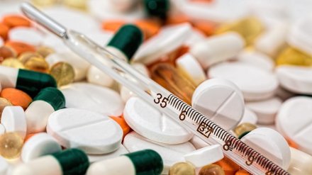 Бабье лето в Воронежской области снизило заболеваемость гриппом и ОРВИ