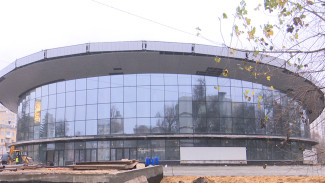 «Гостиница бегемотов» и спа-салон. Воронежский цирк примет гостей осенью 2026-го