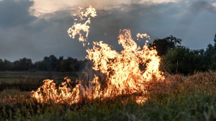 В Острогожском районе локализовали ландшафтный пожар, вызванный падением дрона