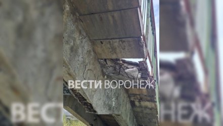 Воронежцы показали удручающее состояние моста на станции Придача