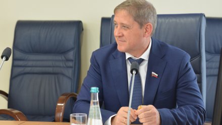 Депутаты гордумы обсудили меры повышения туристической привлекательности Воронежа