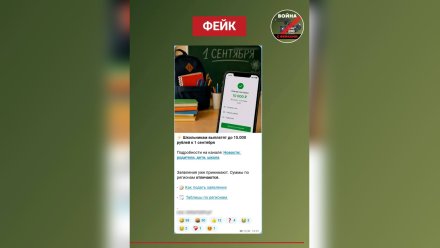 В Воронеже распространили фейк о выплате школьникам к 1 сентября
