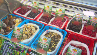 В Воронеже открылась продажа разнообразных грибов и северных ягод