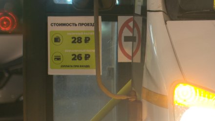 Воронежцы попросили губернатора вернуть снесённую автобусом остановку