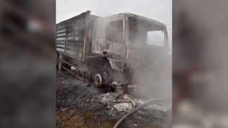 Огонь уничтожил КамАЗ в воронежском посёлке