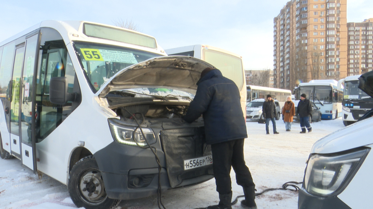 Замёрзшие воронежские автобусы выйдут на маршруты в ближайшее время |  09.01.2024 | Воронеж - БезФормата