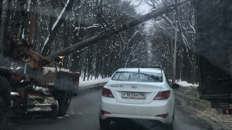 В Воронеже рухнувший на дорогу фонарный столб парализовал движение