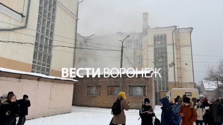 В МЧС прокомментировали пожар в воронежской школе №16