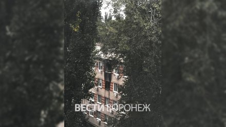 В МЧС прокомментировали пожар в воронежском общежитии