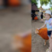 В Воронеже 9-летняя актриса театра драмы стала жертвой нападения огромной крысы
