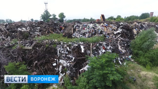 В Воронеже ликвидируют одну из самых больших незаконных свалок