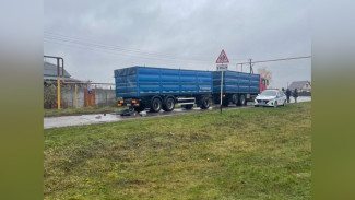 В Воронежской области грузовик насмерть сбил 72-летнего велосипедиста 