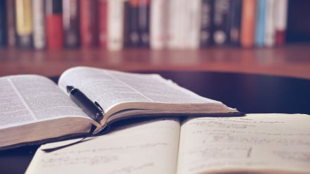 В воронежских школах ввели дистанционное обучение из-за коронавируса