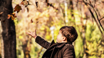 Воронежский депутат Госдумы раскритиковал идею сократить школьные каникулы