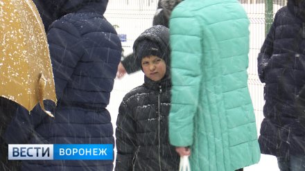 Вёдра с чаем и двойная защита. Как прошли 2 часа приёма заявлений в новую школу Воронежа
