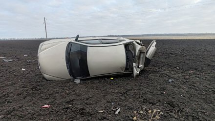 Воронежский автомобилист вылетел в кювет из-за бросившегося под колёса зверя