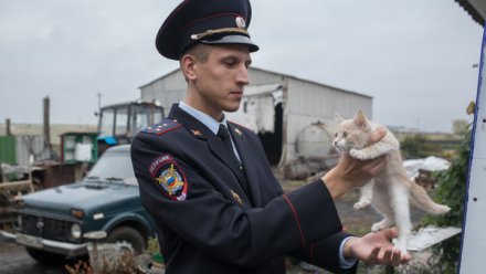 Народным участковым в Воронежской области стал полицейский из Каширского района