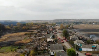 Сгоревшее воронежское село с высоты показали на видео