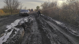  В Воронежской области жители села оказались в изоляции из-за утонувшей в грязи дороги