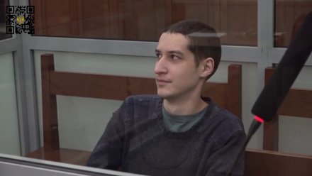 Верховный суд оставил без изменений приговор воронежцу за попытку вступить в ВСУ