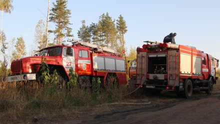 Спасатели потушили второй из трёх крупных пожаров в Воронежской области 