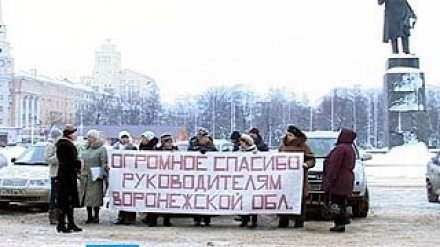 На главной площади Воронежа прошел митинг благодарности