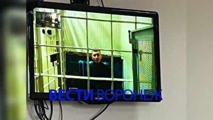 Виновный в гибели воронежской студентки отказался искупить вину на СВО
