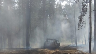 В Воронежской области из-за загоревшихся машин вспыхнул лес