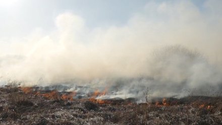 Стало известно, когда в Воронежской области завершится пожароопасный сезон