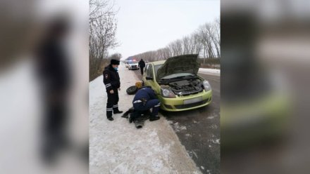 Воронежский пенсионер мог встретить Новый год на трассе из-за поломки машины